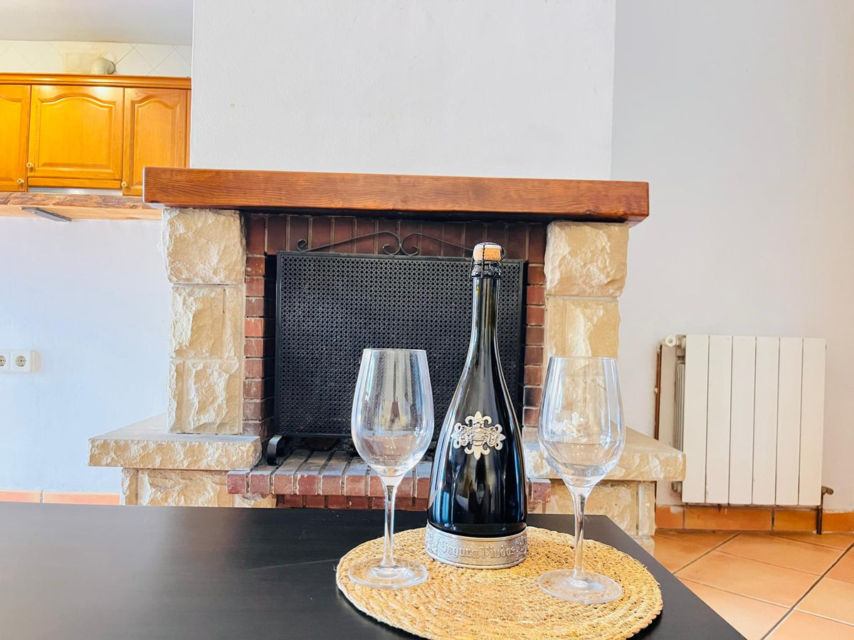 Casa pareada con jardín y barbacoa en Can Pere de la Plana