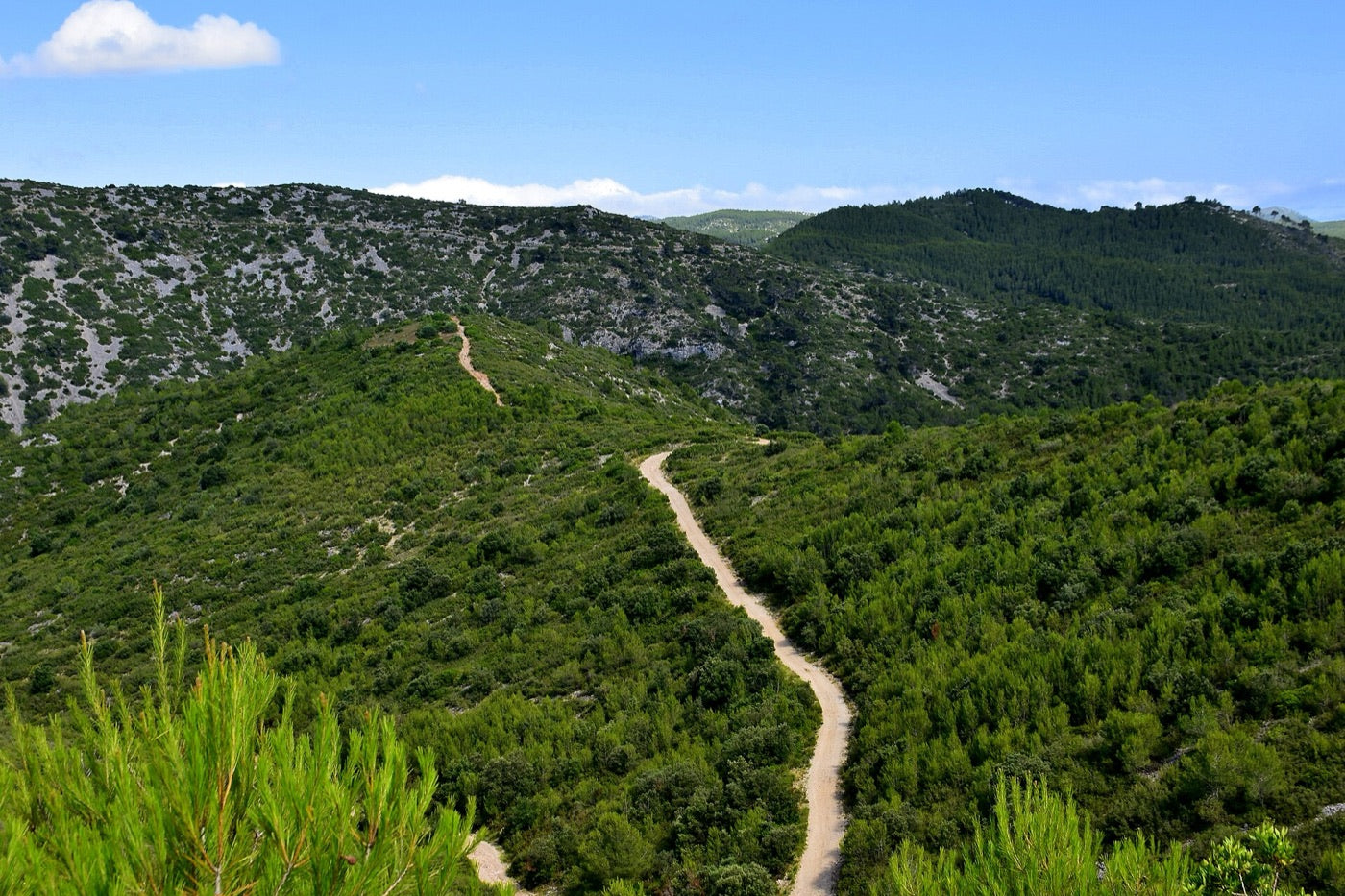 Olivella, Garraf